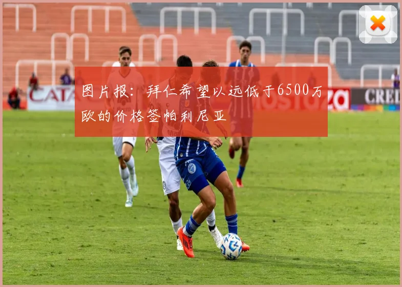 图片报：拜仁希望以远低于6500万欧的价格签帕利尼亚