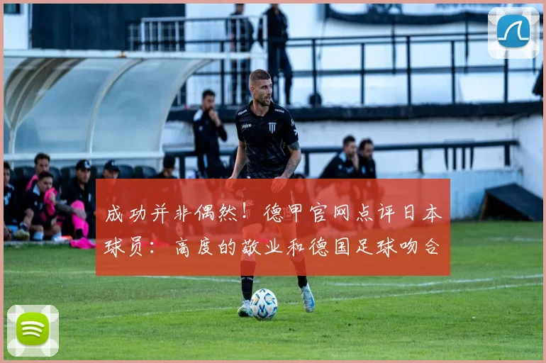 成功并非偶然！德甲官网点评日本球员：高度的敬业和德国足球吻合