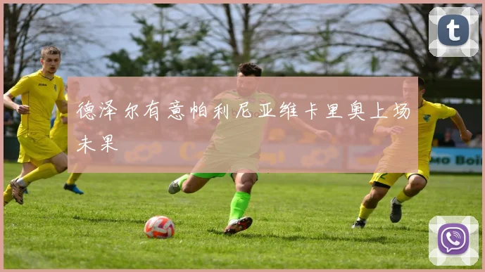 德泽尔有意帕利尼亚维卡里奥上场未果