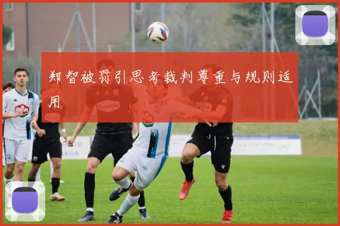郑智被罚引思考裁判尊重与规则适用