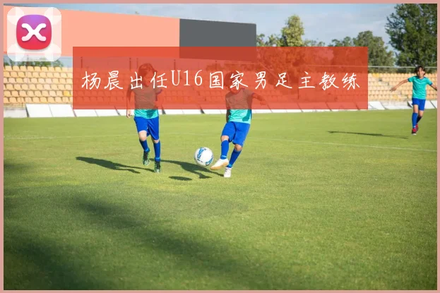 杨晨出任U16国家男足主教练