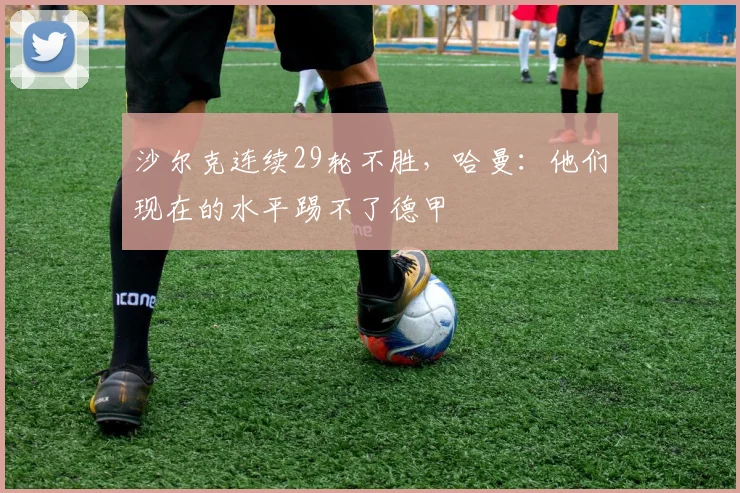 沙尔克连续29轮不胜，哈曼：他们现在的水平踢不了德甲
