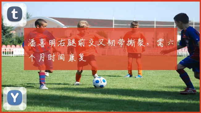 潘喜明右腿前交叉韧带撕裂，需六个月时间康复