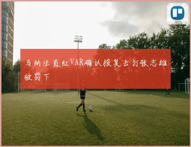 马纳法直红VAR确认报复击打张志雄被罚下